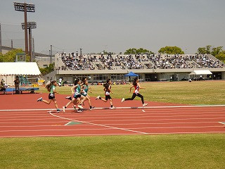 P1030841