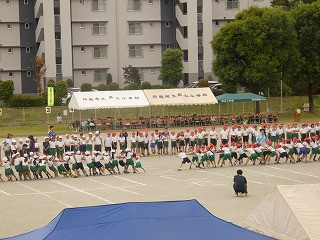 P1040237