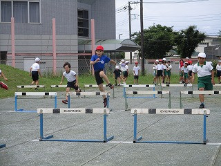 IMG_4519